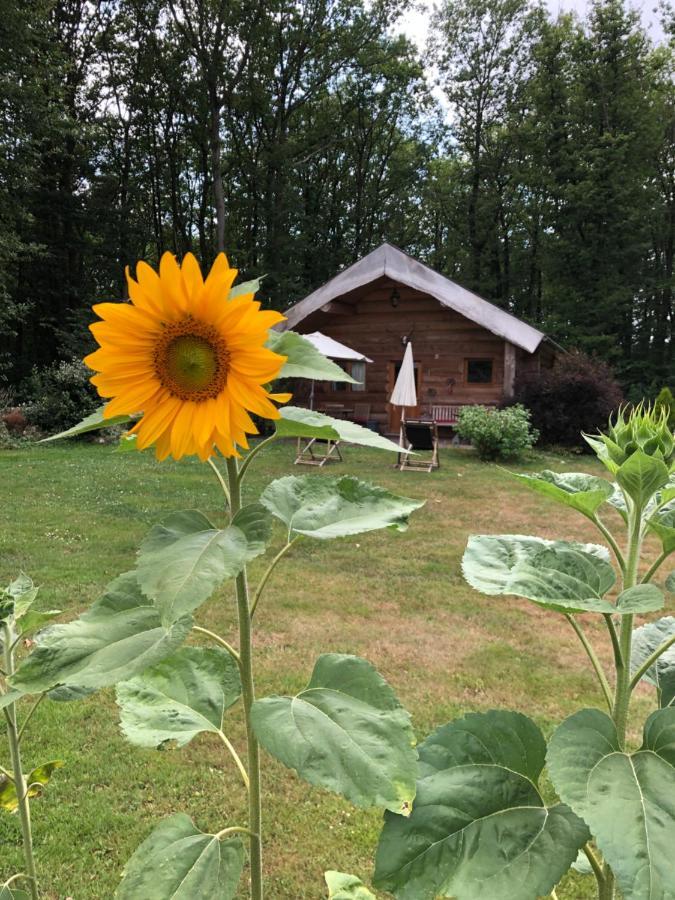 Domaine Du Vertbois La Haye-du-Theil Exterior foto